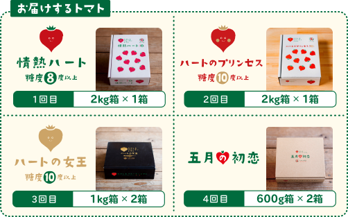 お届けするトマト