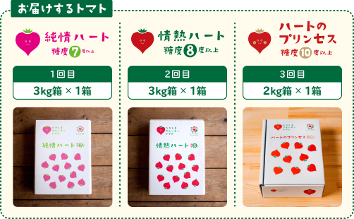 お届けするトマト