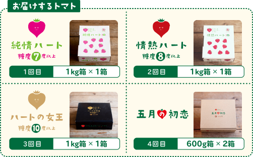 お届けするトマト