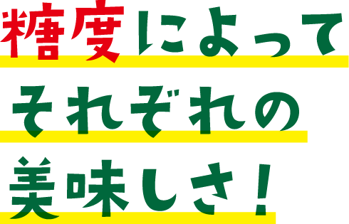 糖度によってそれぞれの美味しさ！