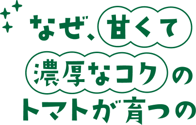 なぜ、甘くて濃厚なコクのトマトが育つの？