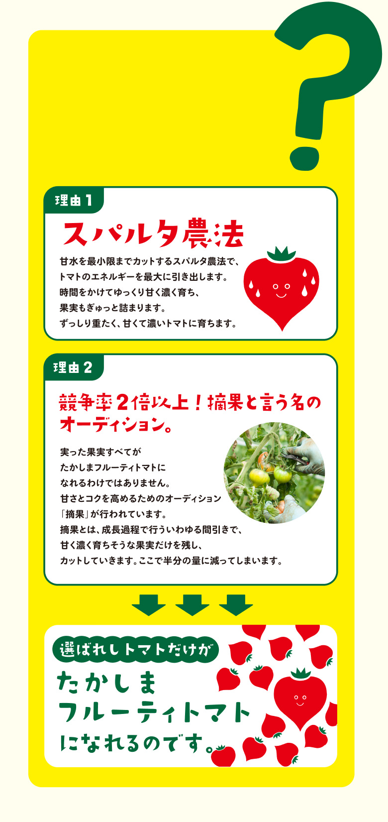 なぜ、甘くて濃厚なコクのトマトが育つの？