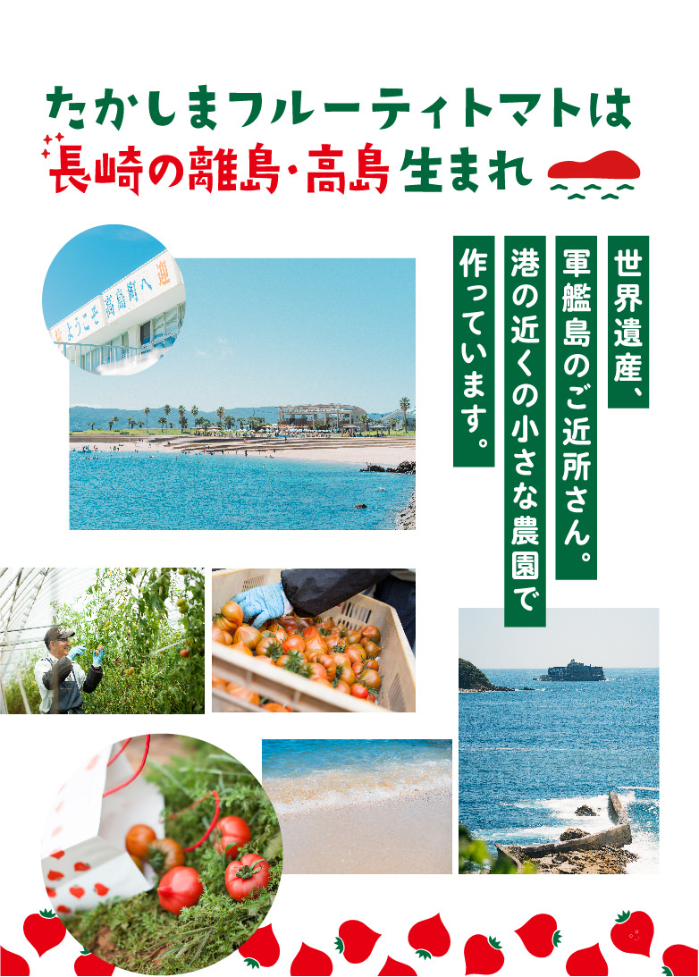 甘くて濃い たかしまフルーティトマトは長崎の離島・高島生まれ