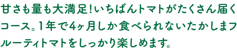 甘さも量も大満足！いちばんトマトがたくさん届くコース。1年で4ヶ月しか食べられないたかしまフルーティトマトをしっかり楽しめます。