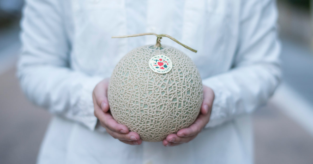 「専用」メロン様 52589fc180bbfa1a01f83303d5dd21