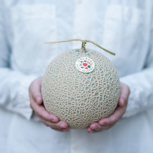 たかしまメロン