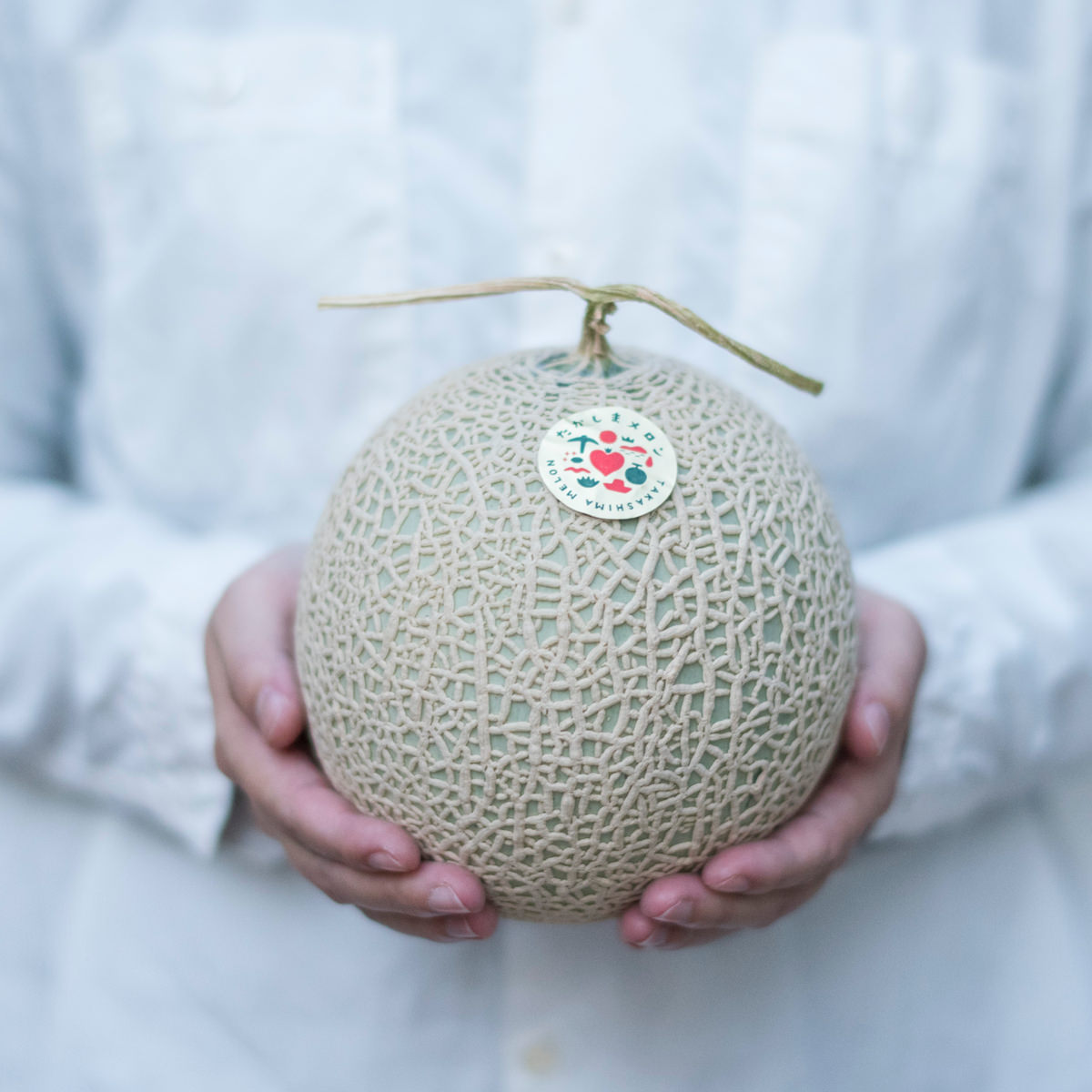 たかしまメロン