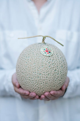 たかしまメロン