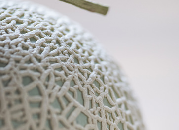 たかしまメロンのイメージ