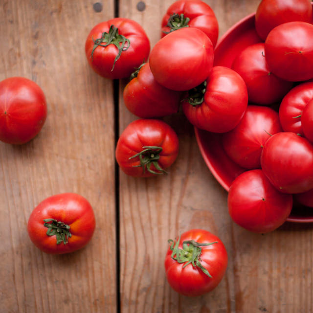 img-tomato2.jpg