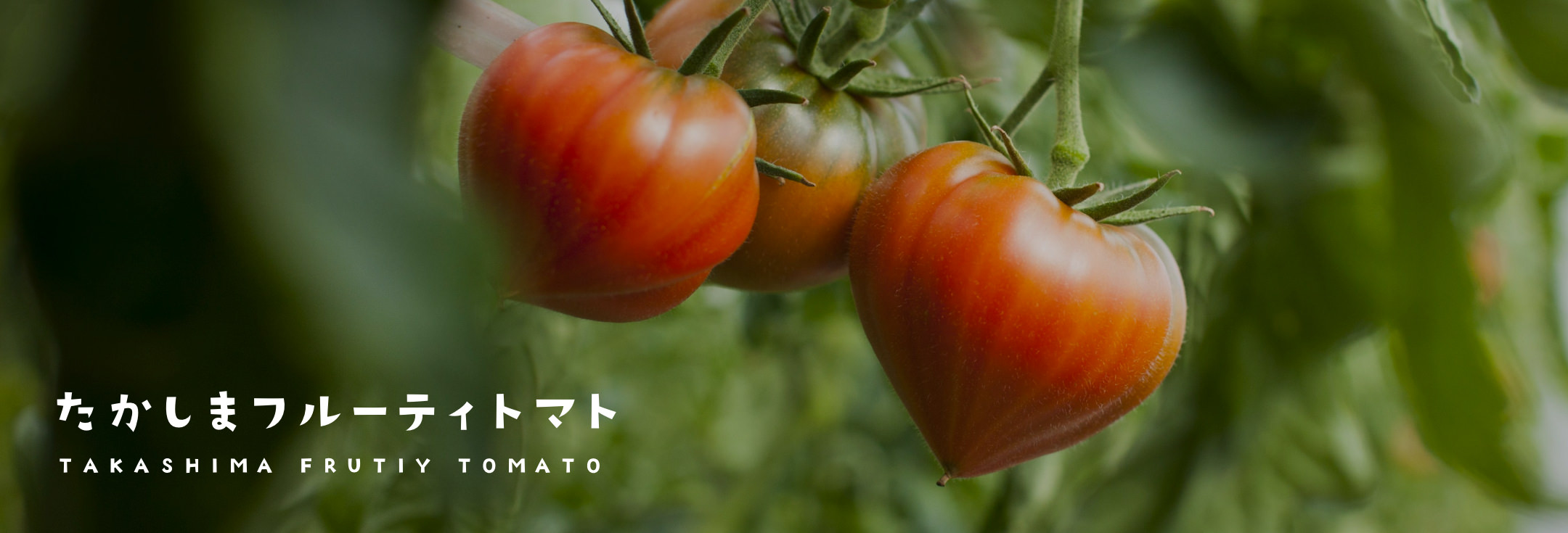 たかしまフルーティトマト