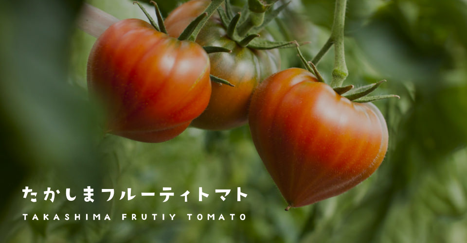 bnr-product-tomato_sp.jpg