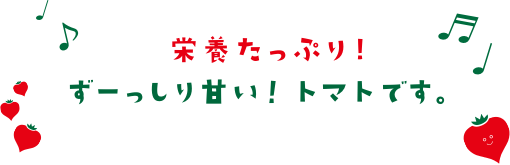栄養たっぷり！ずーっしり甘い！トマトです。