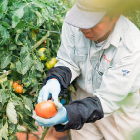 【ワケアリ】情熱ハートのイメージ