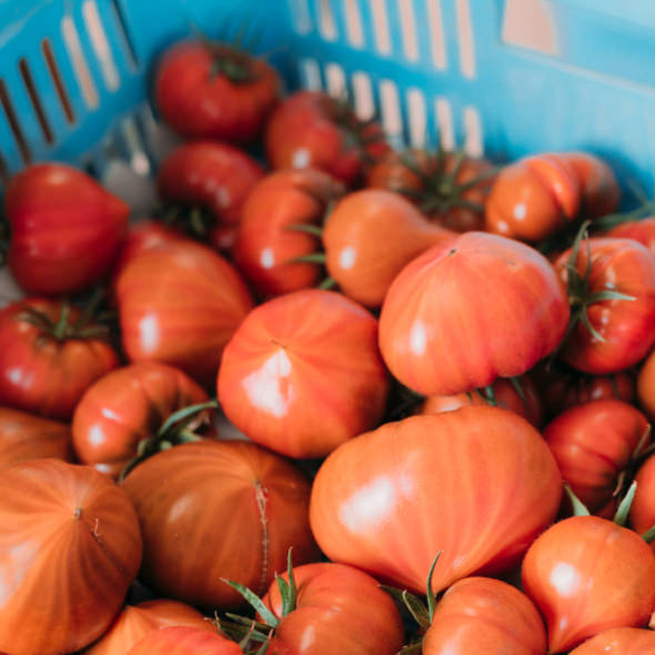 【ワケアリ】純情ハートのイメージ