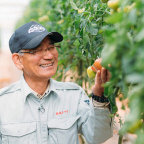 【ワケアリ】純情ハートのイメージ