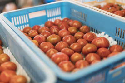 2026年2月のイベント出店情報